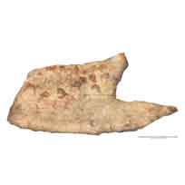 Cueva de Altamira. Techo de la sala de Polícromos. Escala 1:20