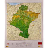 Relieve de Navarra en 3D a 1:200.000 ed. 2007