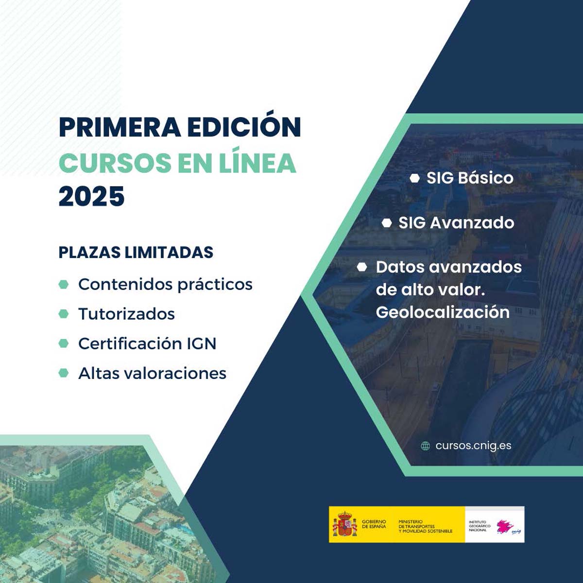 Cursos en Línea