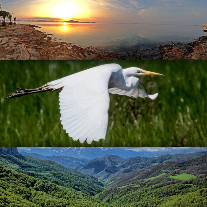 Mapas de espacios naturales