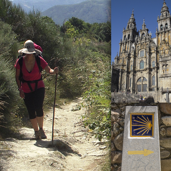 Camino de Santiago